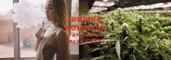 ПСИЛОЦИБИНОВЫЕ ГРИБЫ Заволжье