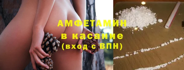ПСИЛОЦИБИНОВЫЕ ГРИБЫ Заволжье