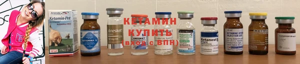 ПСИЛОЦИБИНОВЫЕ ГРИБЫ Заволжье
