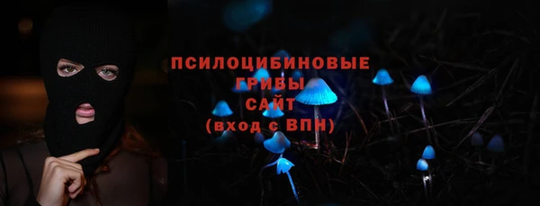 ПСИЛОЦИБИНОВЫЕ ГРИБЫ Заволжье