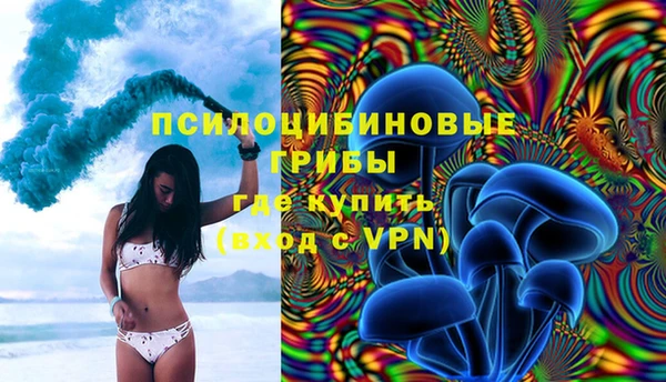ПСИЛОЦИБИНОВЫЕ ГРИБЫ Заволжье