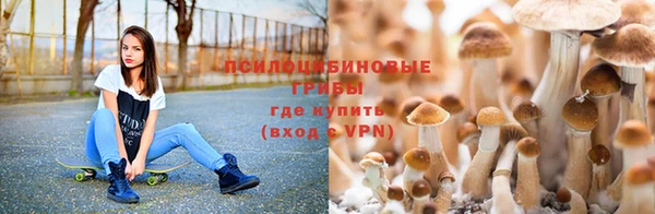 ПСИЛОЦИБИНОВЫЕ ГРИБЫ Заволжье