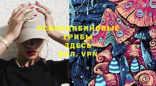 ПСИЛОЦИБИНОВЫЕ ГРИБЫ Заволжье